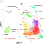 Single-nuclei RNA-seq of childhood PFA Ependymoma recurrence