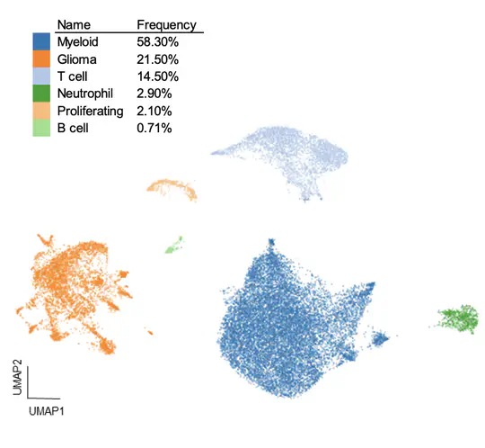 Multi-pronged analysis of pediatric low-grade glioma reveals a unique tumor microenvironment associated with BRAF alterations