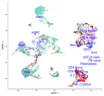 Single-cell RNA-seq of pediatric high-grade glioma